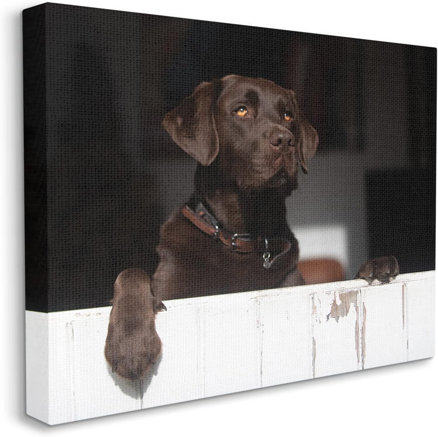 Stupell Industries Labrador Dog Overlooking Farm Leaning Barn Door Canvas Wall Art, Design By James Dobson