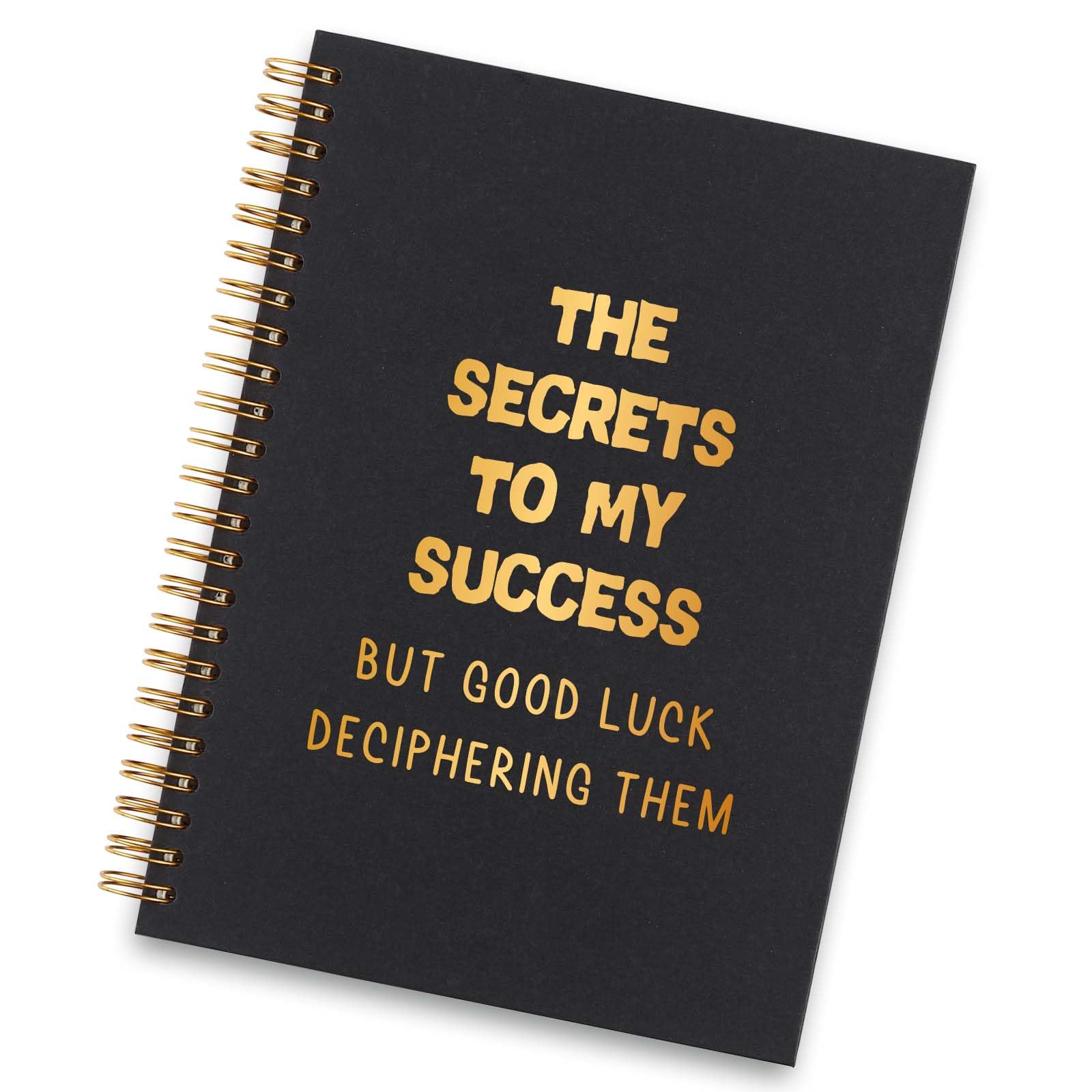 Cadeau amusant pour collègue : le cahier à spirale humour vizuzi