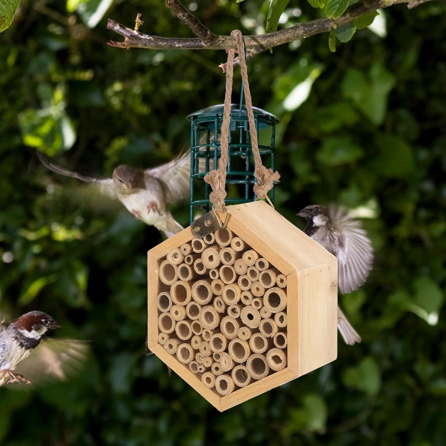 KALLORY Wooden Bee House with Hexagonal Insect Nest for Garden Outdoor Use, Natural Pollinator Habitat Beehive Box for Mason and Leaf-Cutting Bees