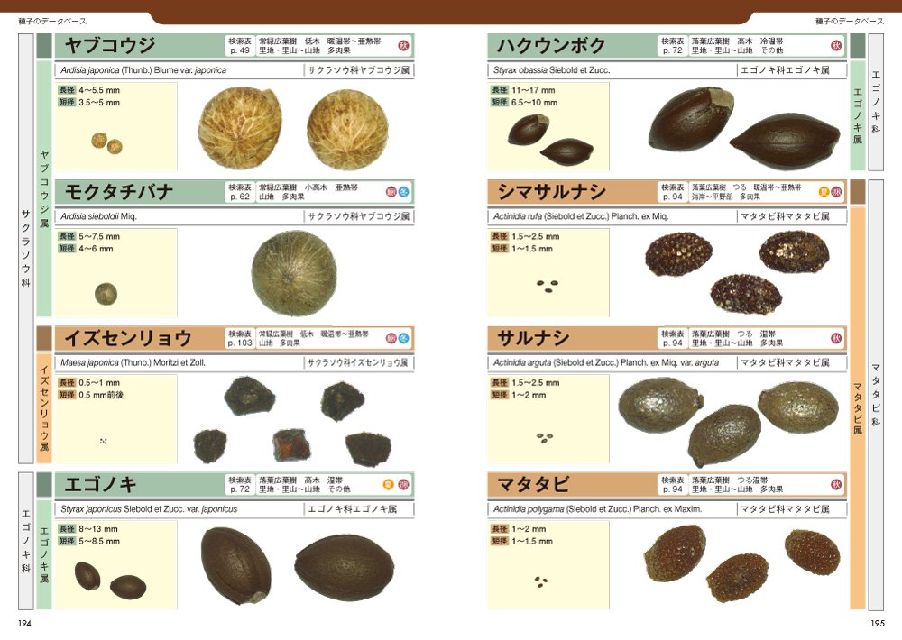 木のタネ検索図鑑 同定 生態 調査法 小南 陽亮 田内 裕之 八木橋 勉 本 通販 Amazon