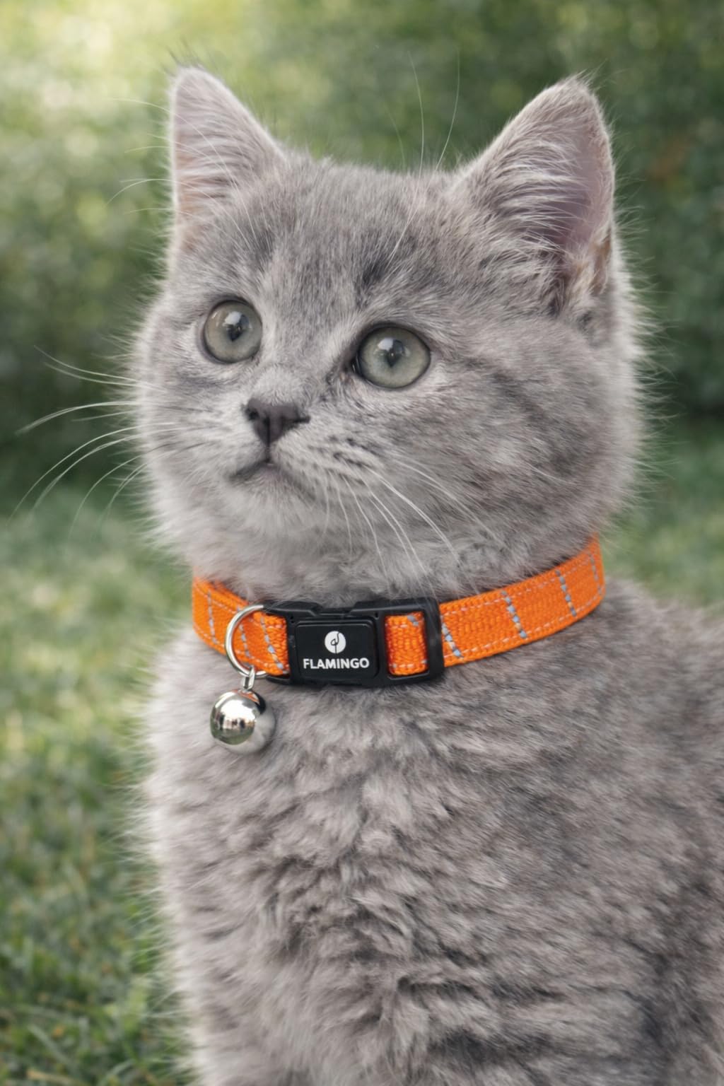 cat collar - kitten Elza orange 15–22 cm – elastic nylon reflective with bell