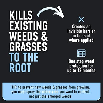 Roundup Dual Action 365 Weed & Grass Killer Plus 12 Month Preventer with Comfort Wand, Kills & Prevents for up to 1 Year, 1 gal.