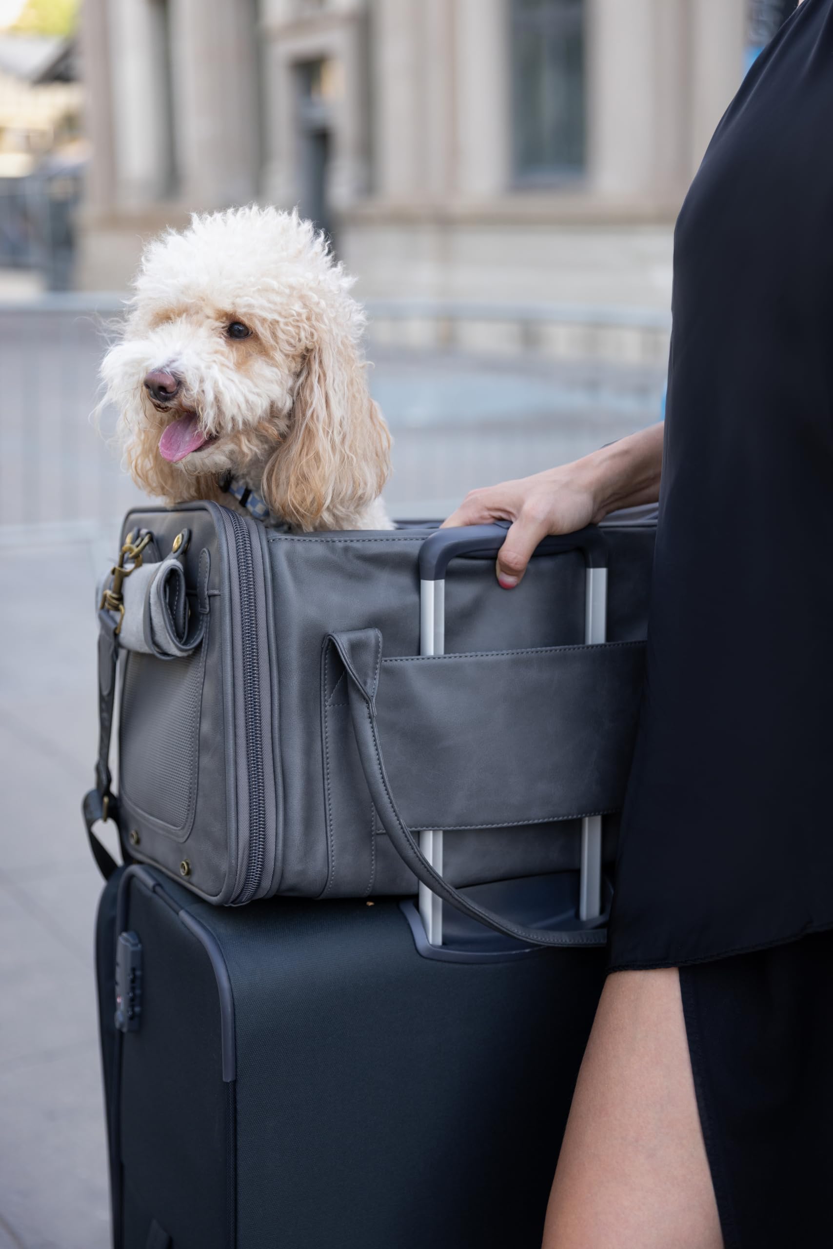 Noah & Paw Transportín Blando para Gatos y Perros Pequeños, Aprobado TSA Aerolíneas 46x28x28cm, Jaula de Viaje para Mascotas, Kennel Pequeño, Colchoneta Incluida, Cuero Sintético Carbón