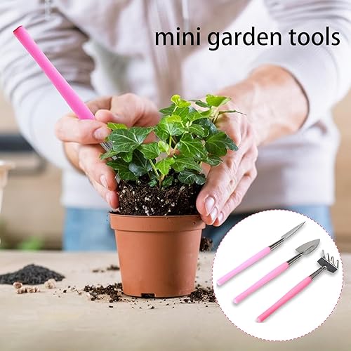 Miniatura 5 de Mini herramientas de jardinería, 3 piezas de herramientas de acero inoxidable para suculentas, pala, rastrillo de pala, pala de mano de 2 colores