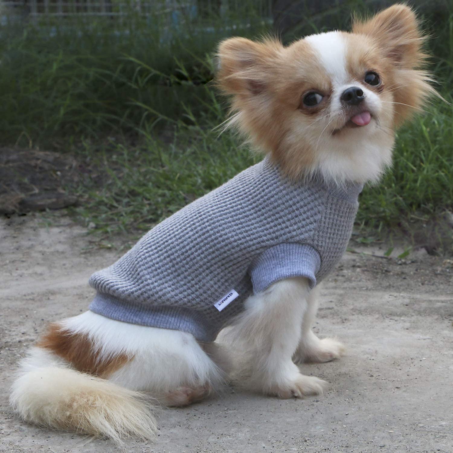 Amazon.com : LOPHIPETS Lightweight Dog Sweaters for Puppy Small