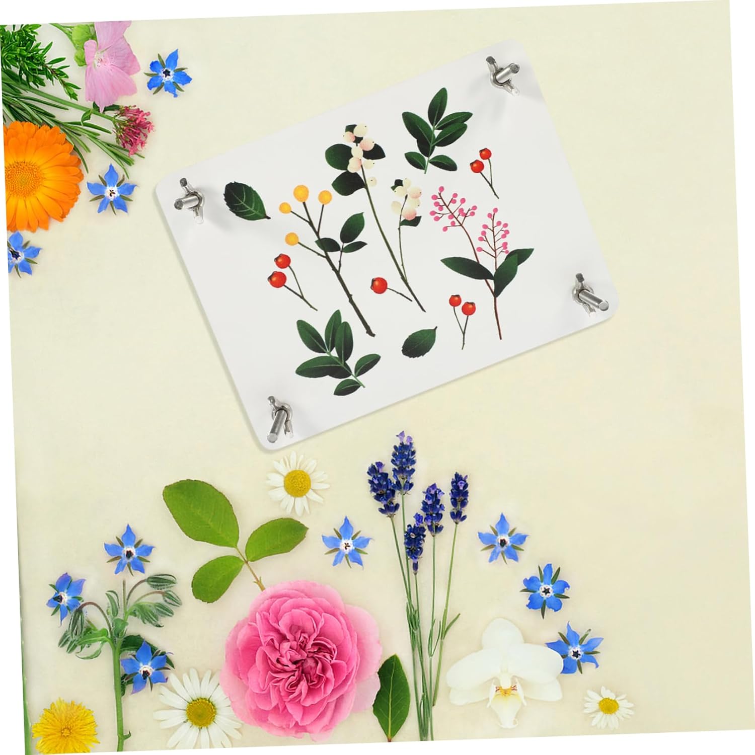 STOBOK Professional Flower Press Kit for DIY Dried Plant Craft Pressed Flower Pressing Kit