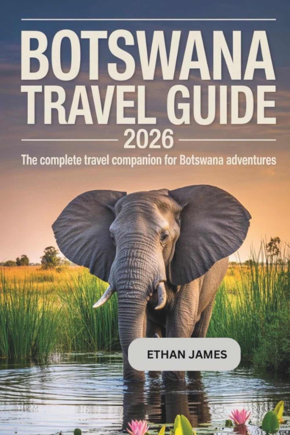 Botswana Travel Guide 2026: The Complete Travel Companion for Botswana Adventures