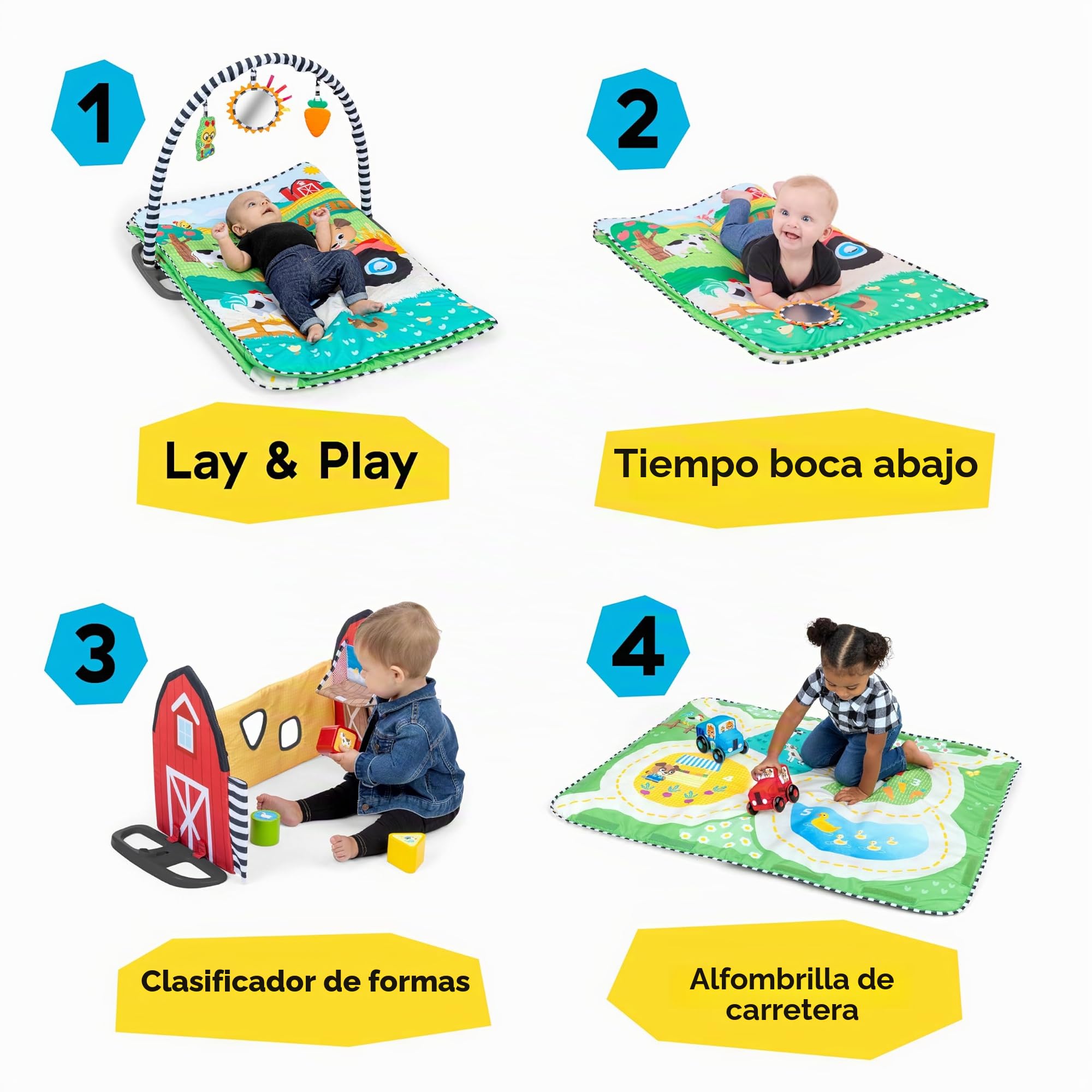 Baby Einstein, Gimnasio Musical de Actividades Farm Explorers Busy Barnyard de la colección Grow with Me, con Clasificador de Formas, para Edades de 0 Meses a 4+ años