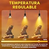 Ver la foto 4