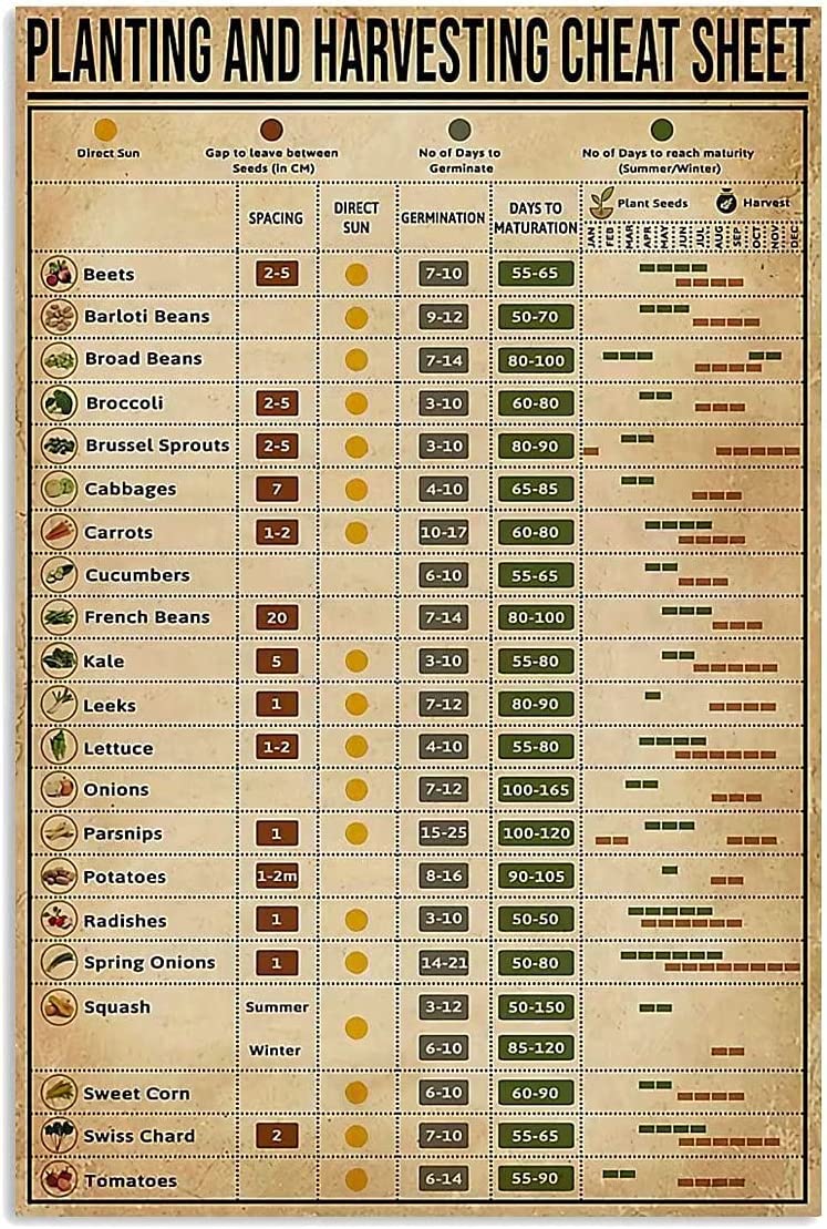 rayprint Planting and Harvesting Cheat Sheet Metal Signs Gardener Wall Decor Popular Science Knowledge Home Decor Printed Plaque Reference Guide Room Decores 8x12inch