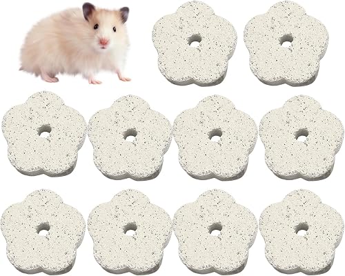 LANCI Flower-Shaped Lava Teeth Grinding Stones for Small Animals, Natural Mineral Dental Health Chew Toys for Chinchillas, Rabbits, Guinea Pigs, Gerbils, Rats, 10 Pieces