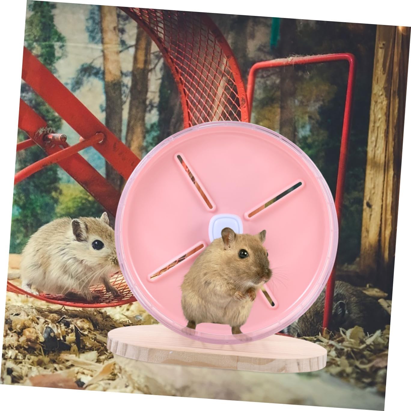 HEMOTON Silent Hamster Wheel Wooden Stand, 20Cm Exercising Chinchilla and Hedgehog Wheel, Stable Small Animal Running for Hamsters and Rats