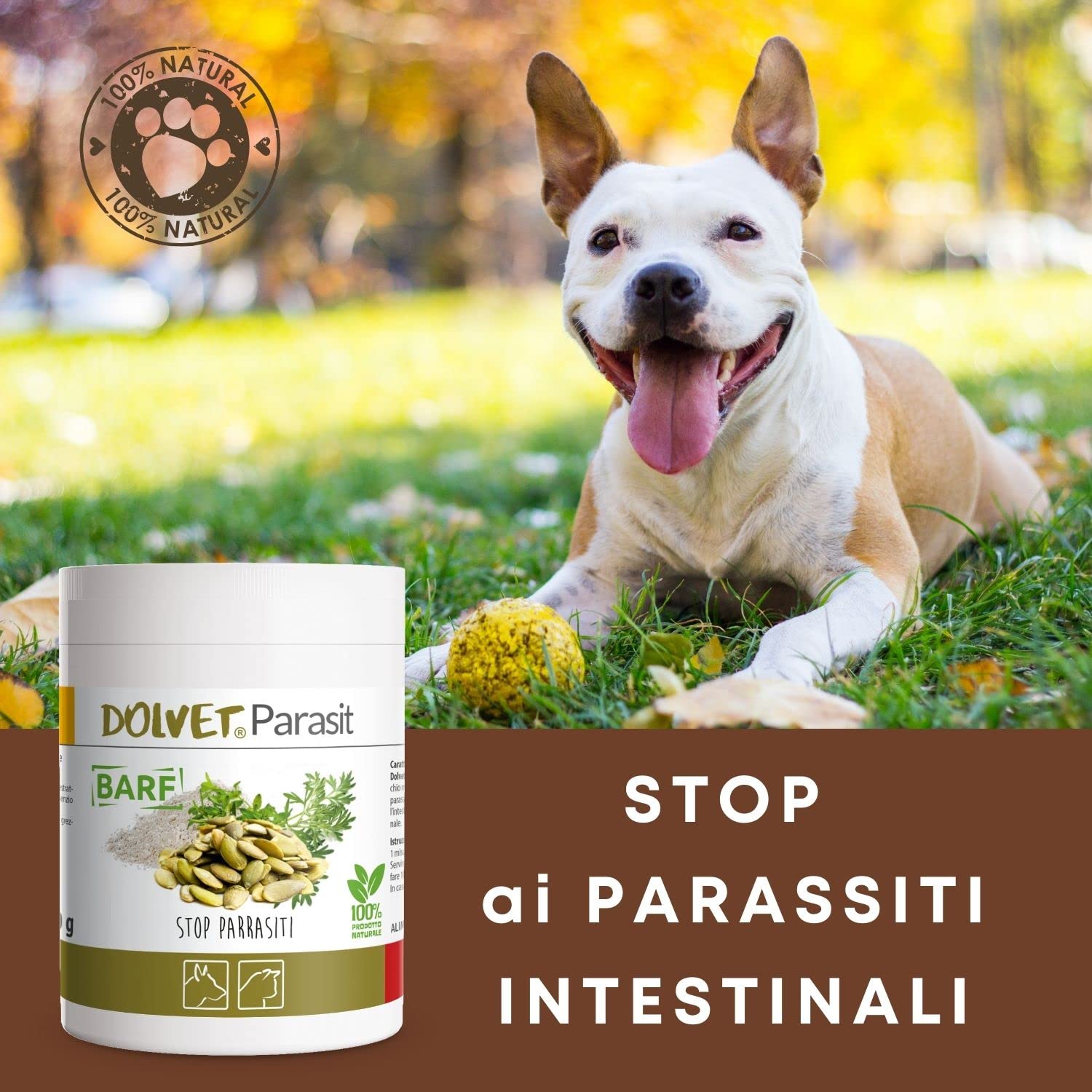 Dolvet Parasit Vermifugo per Cani e Gatti 70 grammi, Formulazione naturale sverminante, Combatte i Parassiti e Vermi dell'Intestino - Linea BARF