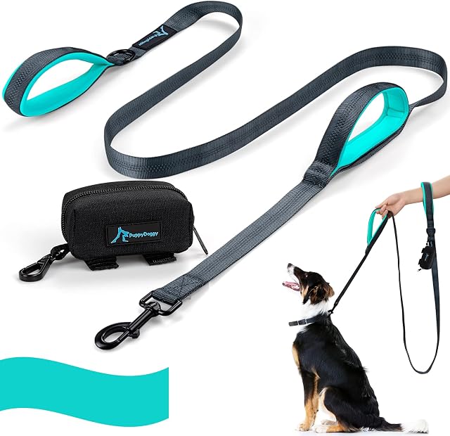 PuppyDoggy Dog Lead 6ft Long With 2 Padded Handles and 3 Reflective Stitching Dog Rope for Large to Medium Dogs Dog Leash with Poop Bag Dispenser for Walking Training (Green)
