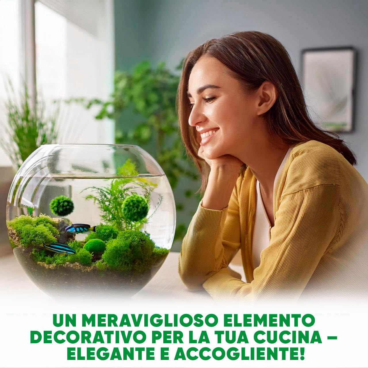 Marimo Alga Viva - 21 - Alga Palla Naturale per Acquario Piante Vere Acquario Acqua Dolce Ecosistema Autosufficiente Marimo Regalo, Moss Ball 2-4 cm per Nano e Grandi Acquari