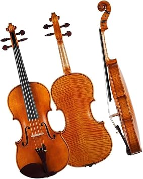 Violin Professional 4/4 Violin Wood Handmade For Beginners And Adults To Play