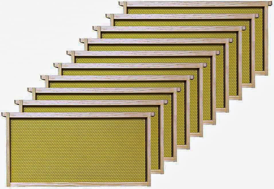 Mann Lake 10-pack Deep Assembled Wood Frames with Yellow Beeswax Coated Plastic Rite-Cell Foundation. 9-1/8 Inch