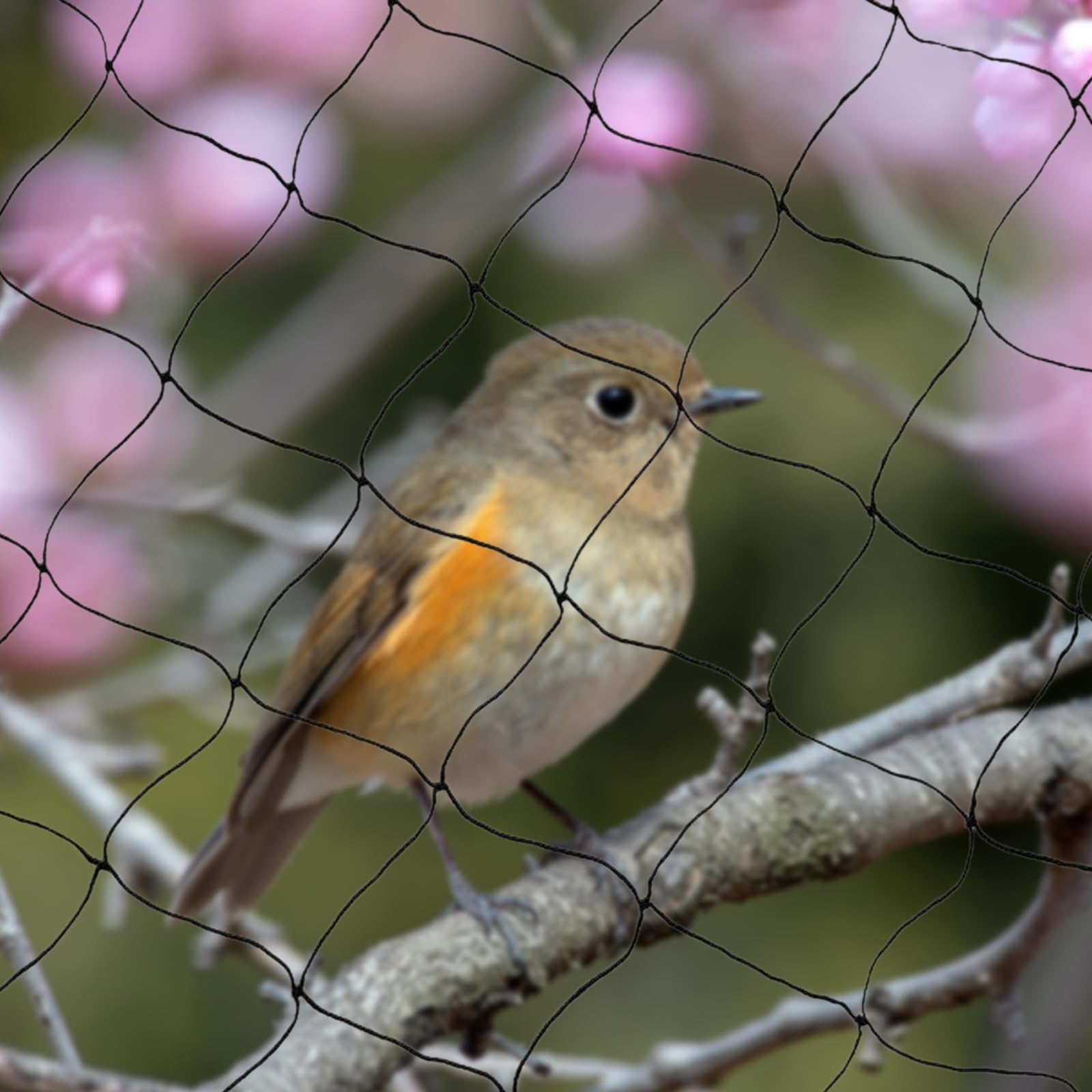 Rete di protezione per uccelli, a maglia stretta, per stagno, per foglie, con ganci, fascette, da giardino, per esterni, aiuole rialzate, per alberi da frutto, protezione da uccelli, galline, piccioni
