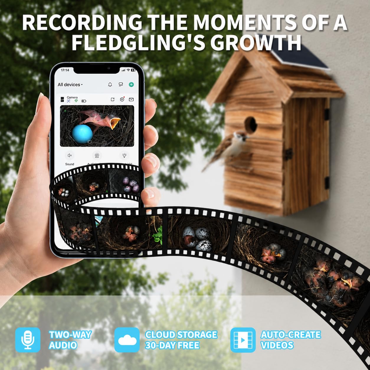 Casetta per uccelli con fotocamera, casetta per uccelli da esterno con acquisizione automatica di foto e video, WiFi 2.4G e app notifica 160° di larghezza wireless, casetta per uccelli in legno (scura
