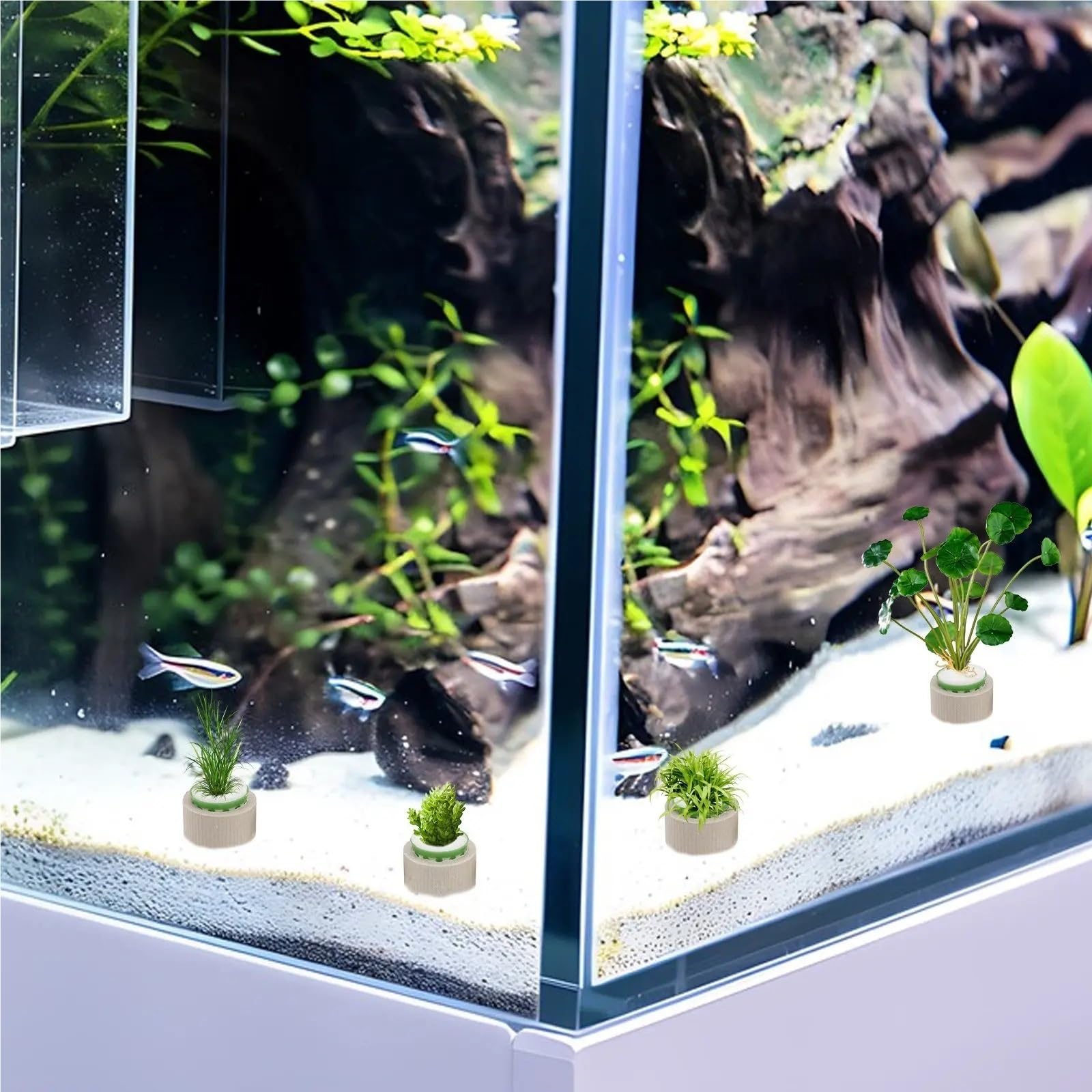 9 Stück Wasserpflanzen-Festringe Aus Keramik Für Aquarium
