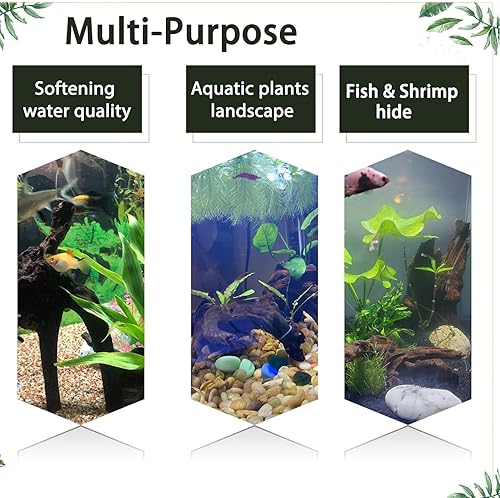 Vista 4 de Tfwadmx Ramas de madera natural para acuario, decoración de madera flotante, 2 piezas de 8.5-12 pulgadas, decoración de madera flotante, terrario