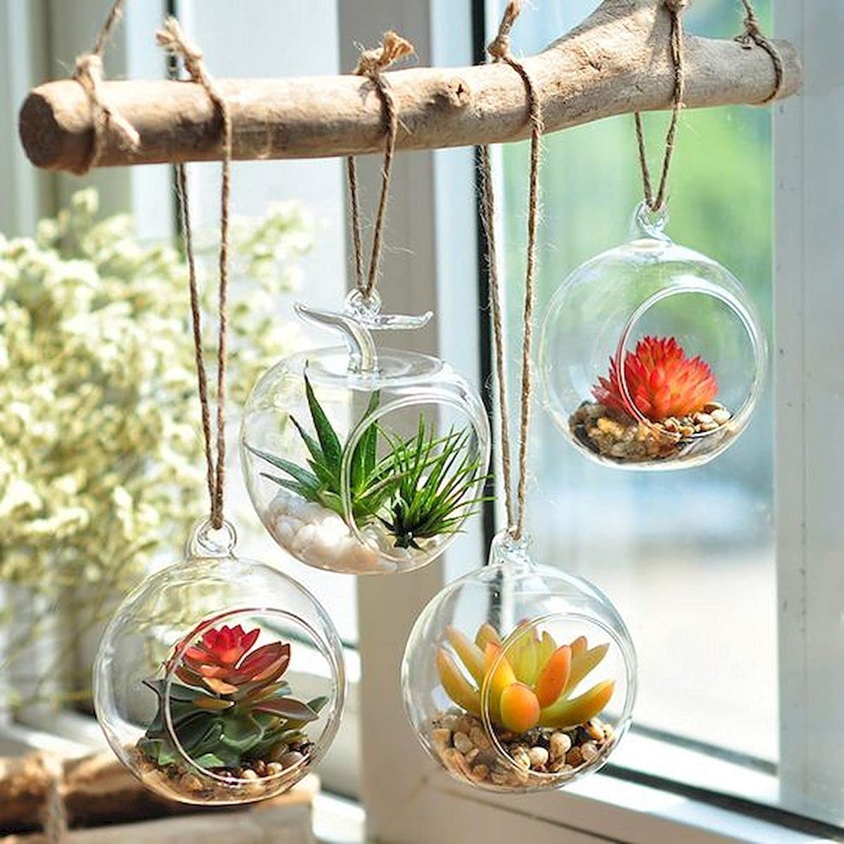 Urban Moon Hanging Glass Plant Terrariums, Glass Orbs Air Plants, Tea Light Candle Holders for Home Decor, Indoor Garden DIY, Gifts (3 Piece 4.5" Orbs & 1 Piece 5" Apple Terrarium) (B0CBFW63QL) Amazon Price History, Amazon Price Tracker