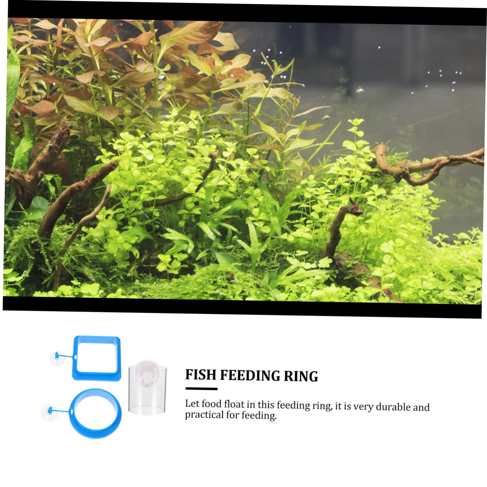 Yardwe 12stücke Teiliges Schwimmender Futterringe Für Aquarien Fischfutterspender Für Süß Und Salzwasser Installieren Mit Stabiler Saugnapfhalterung Für Tropische Fische Und