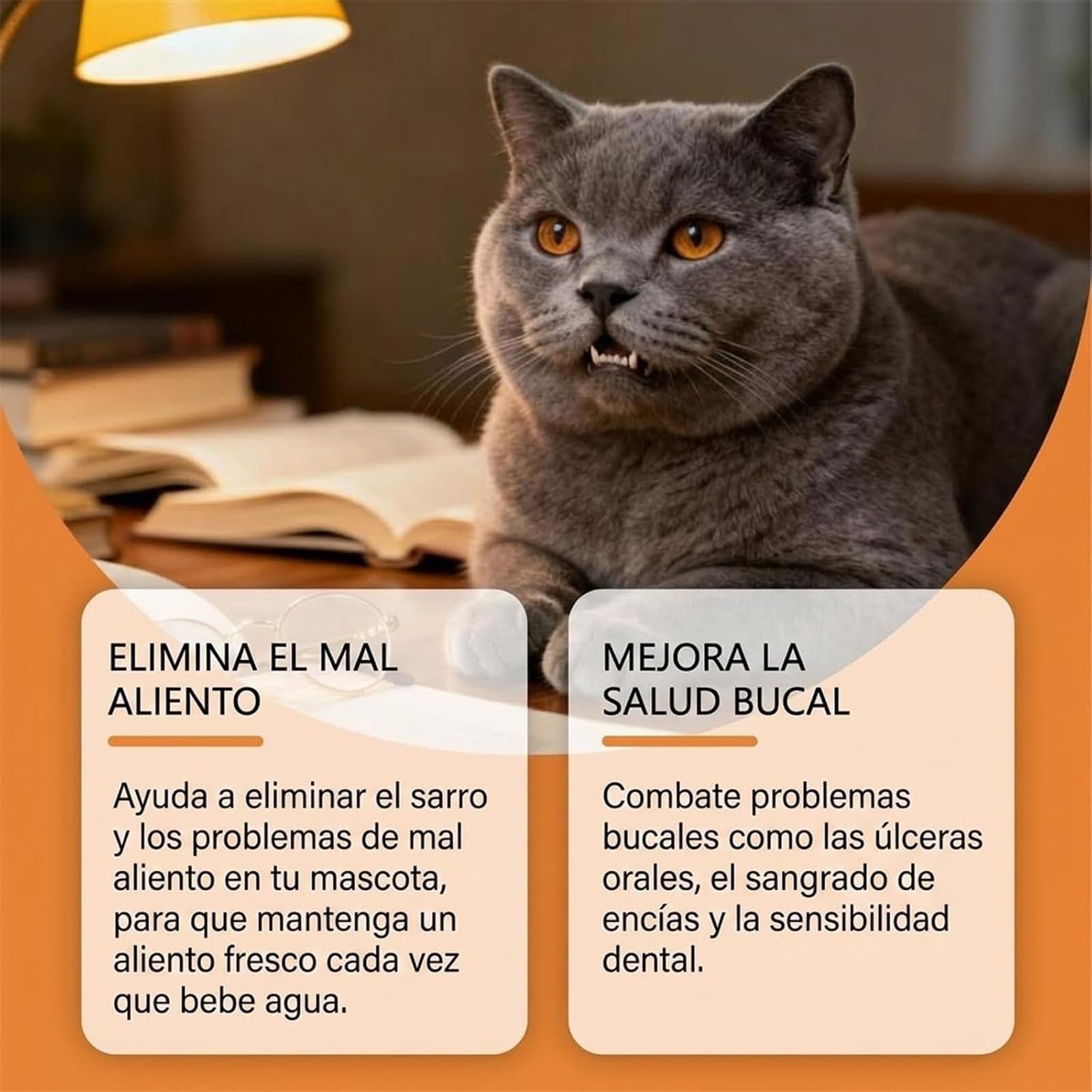 Protección Dental para Mascotas, para Perros y Gatos，combinación | Higiene Dental, para Perros y Gatos, Control de Aliento