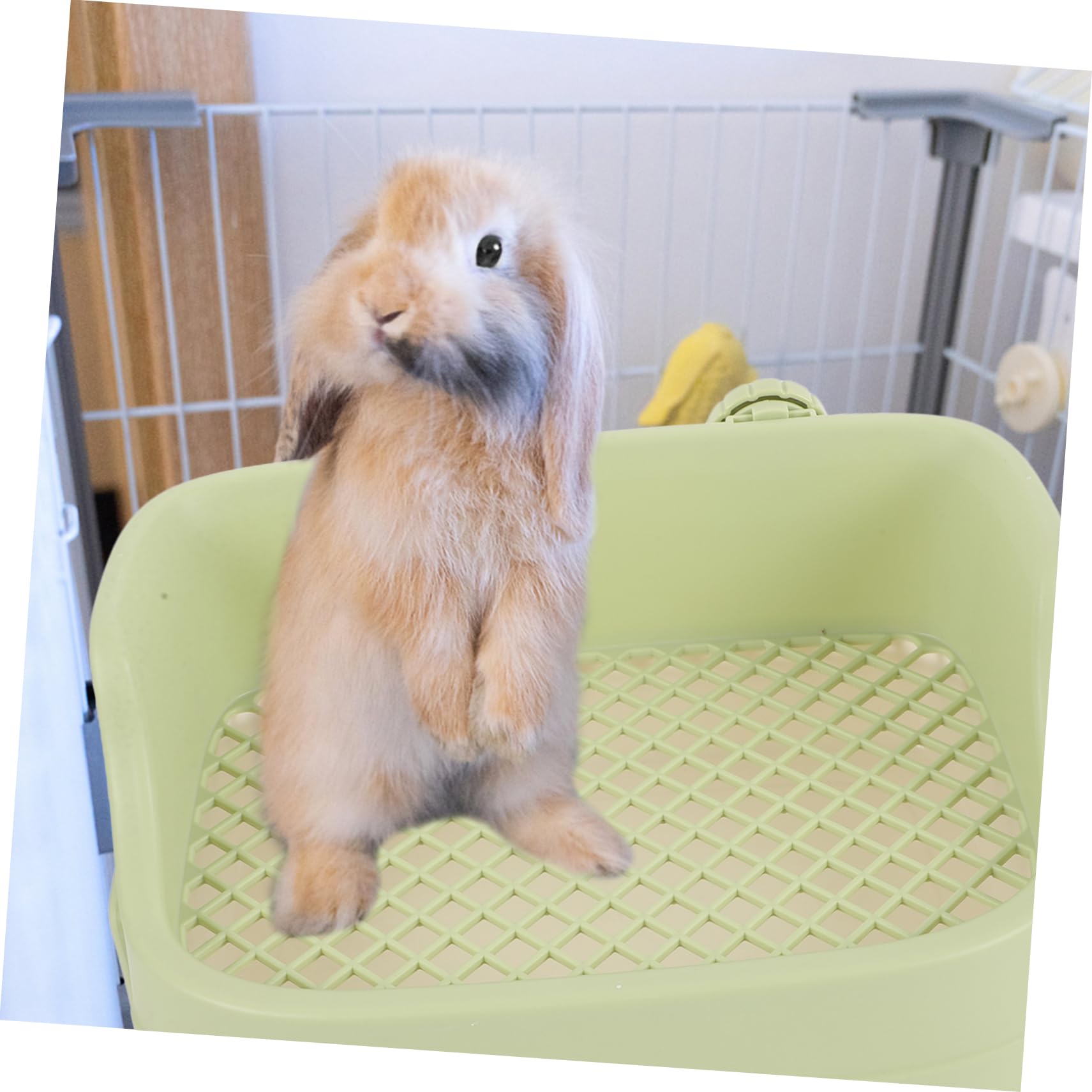 Abaodam Kaninchen Toilettentrainer Tierklo aus Kunststoff Leicht Zerlegbar mit Gitterstruktur für Kleintiere Wie Kaninchen Meerschweinchen Hamster Haustierbedarf für Wohnzimmer und Garten