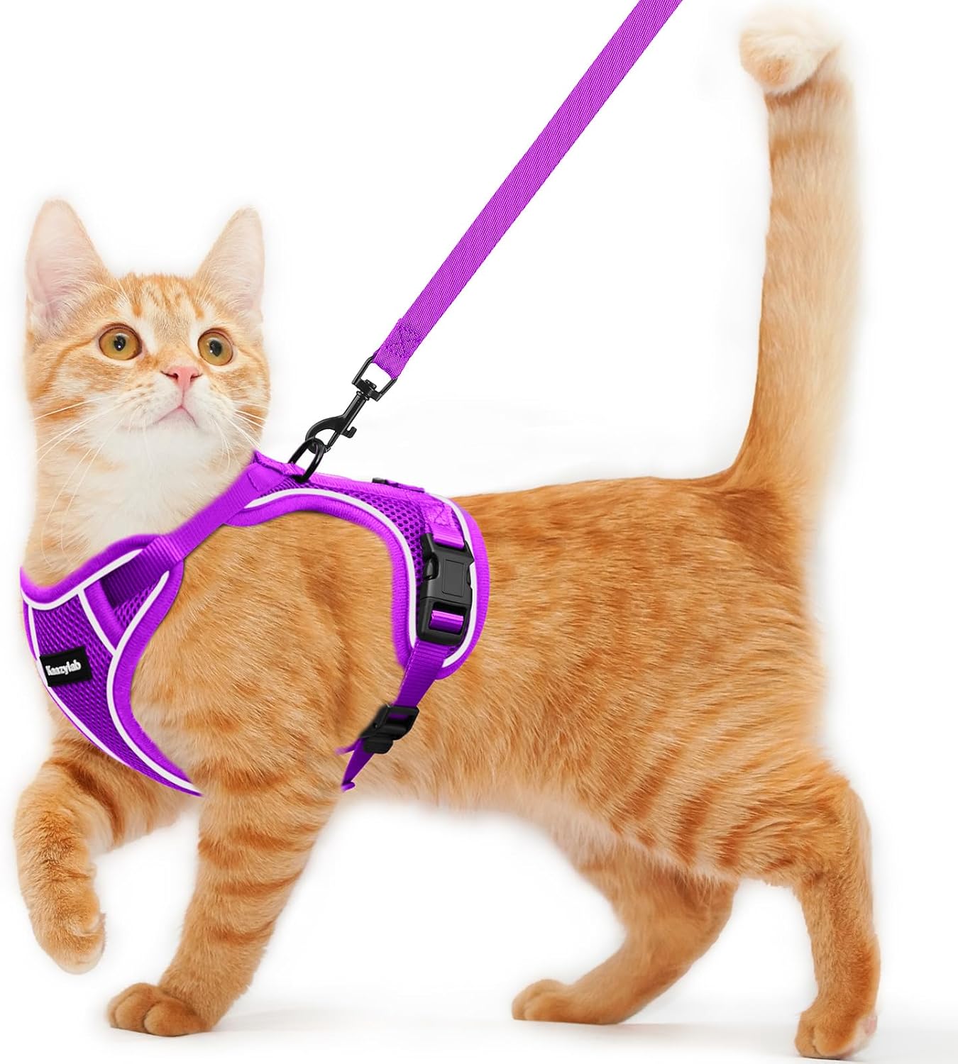 cat harness and leash for walking escape proof soft adjustable cat leash breathable comfortable vest easy to wear kitten harness for outdoor travel purple xs xs (4-6lb) purple