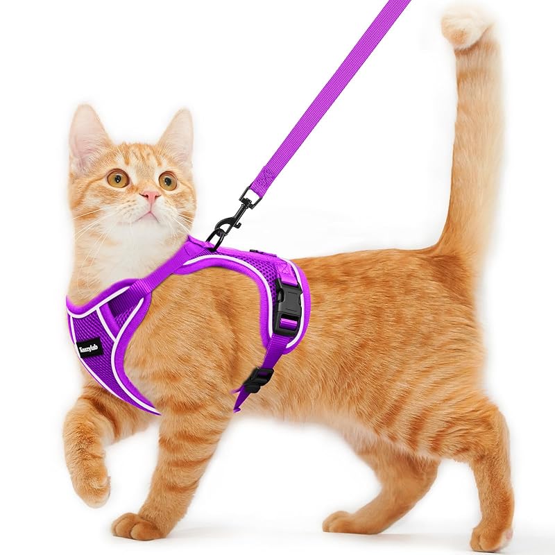 Peitoral para Gatos com Guia em Malha Respirável Kaazylab Roxo, Tamanho S (3,18–5,44 kg)