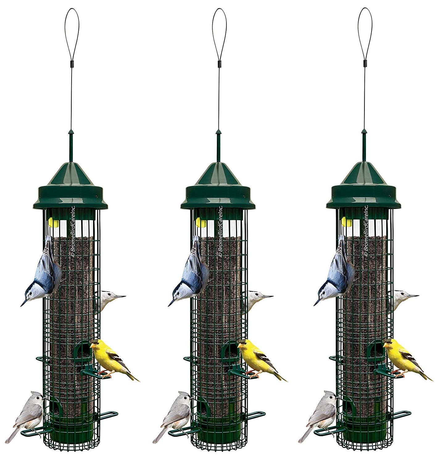 3 Pack Brome Squirrel Buster Classic Squirrel Proof Bird Feeder 1015
