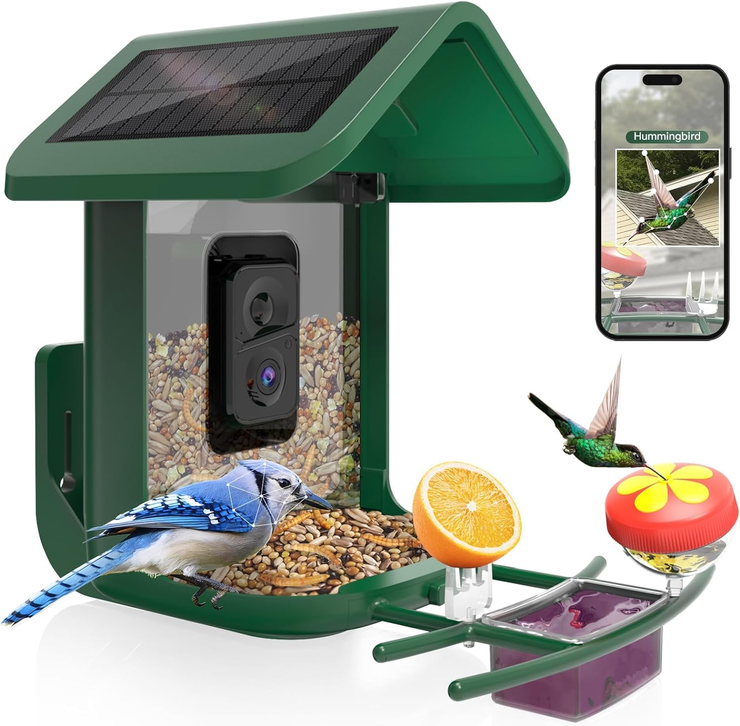 Bird Feeder with Camera Solar Powered : Smart Camera Bird Feeder 2K Live Feed Cam for Backyard - AI Identify Auto Capture Videos Pictures, Gifts for Birdlover Mom Dad, 2.4GHz WiFi Green