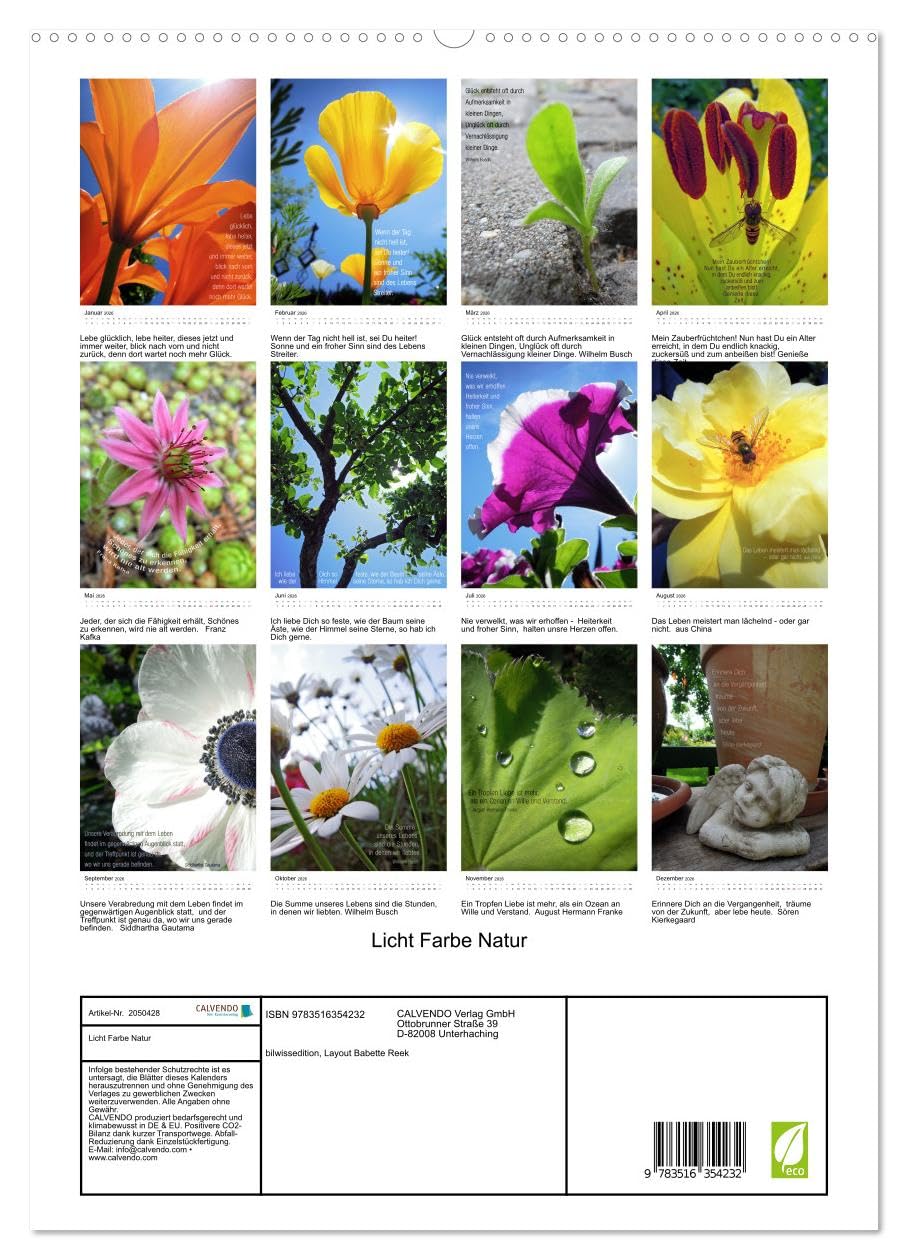 Licht Farbe Natur (hochwertiger Premium Wandkalender 2026 DIN A2 hoch), Kunstdruck in Hochglanz: Poetischer Kalender für lichte Momente (CALVENDO Natur)