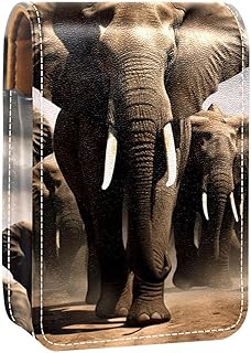 Lipstick Case,Leather Lip Gloss Lipstick Orga...