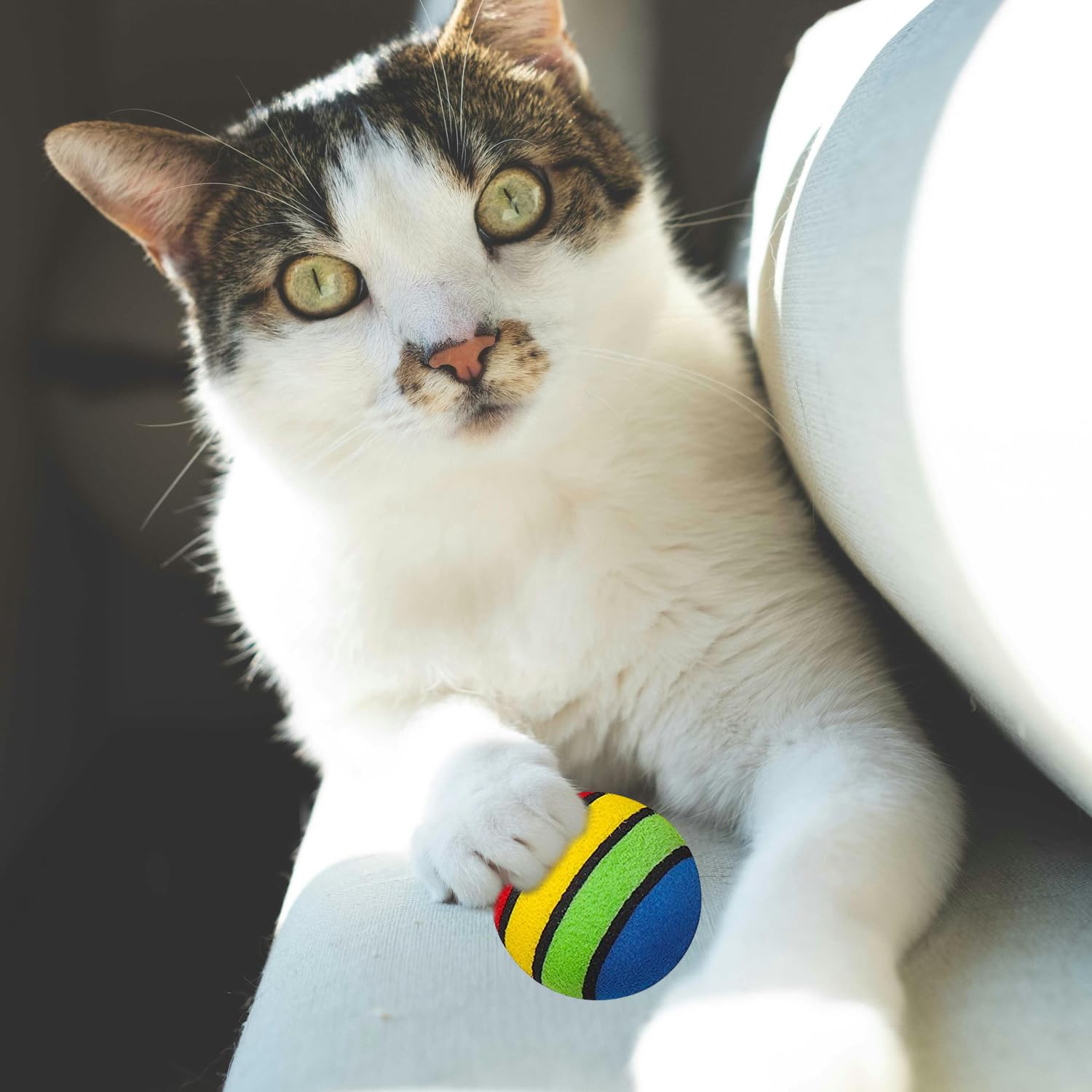 Pet Small Foam Balls For Cats Soft Balls For Cats 6Pcs Colorful