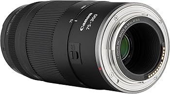 Amazon.com : Canon RF 75-300mm F4-5.6 Telephoto Zoom Long-Range
