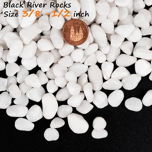 Miniatura 3 de Calofulston Piedras blancas de 15 libras para plantas, rocas blancas de 38 pulgadas para jarrones de paisajismo, pequeñas piedras decorativas para