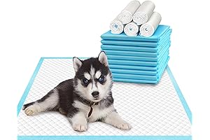 Super Absorbent Pee Pads for Dog Training and Housetraining
