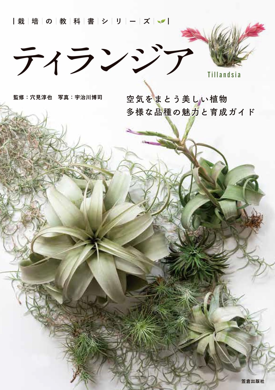 ティランジア (栽培の教科書シリーズ) | 笠倉出版社 |本 | 通販 | Amazon