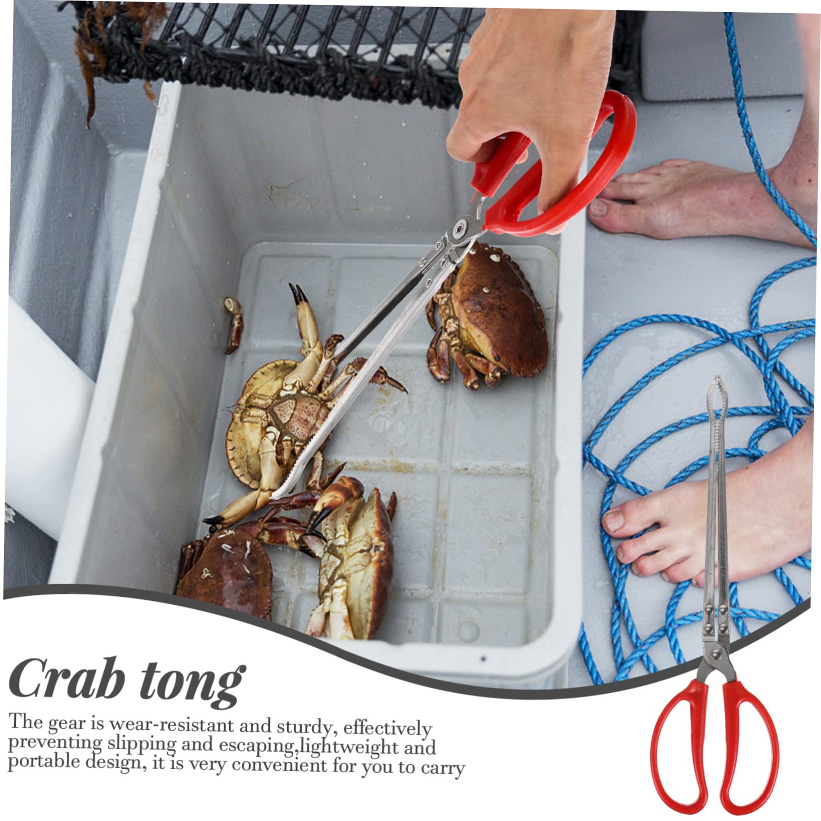 COLLBATH Pince à Anguilles Outil Multifonction en Acier Inoxydable Antidérapante et Résistante à L'usure pour Attraper Crabes et Poissons Domestique la Maison