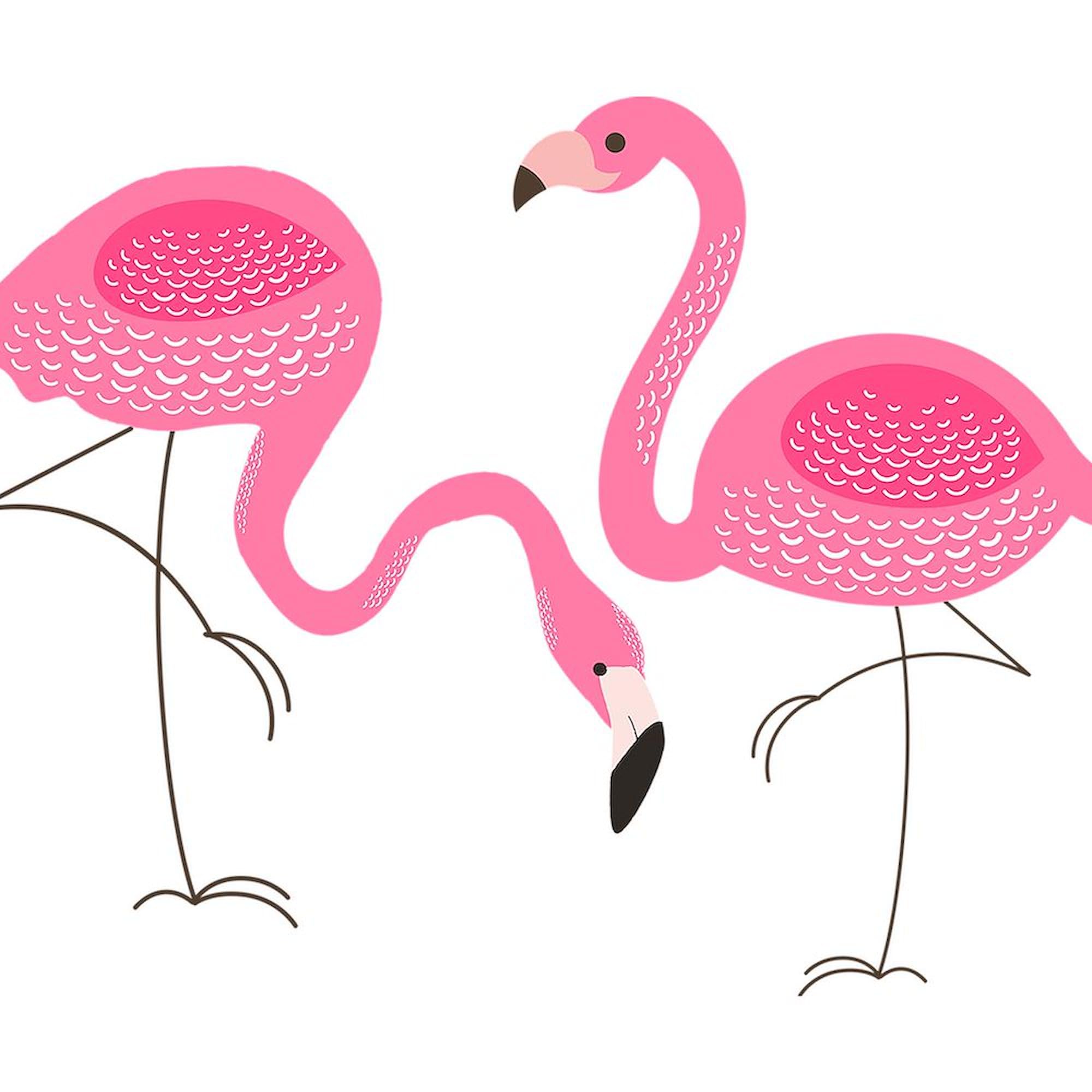 CafePress Cute Air Of Pink Flamingos 4