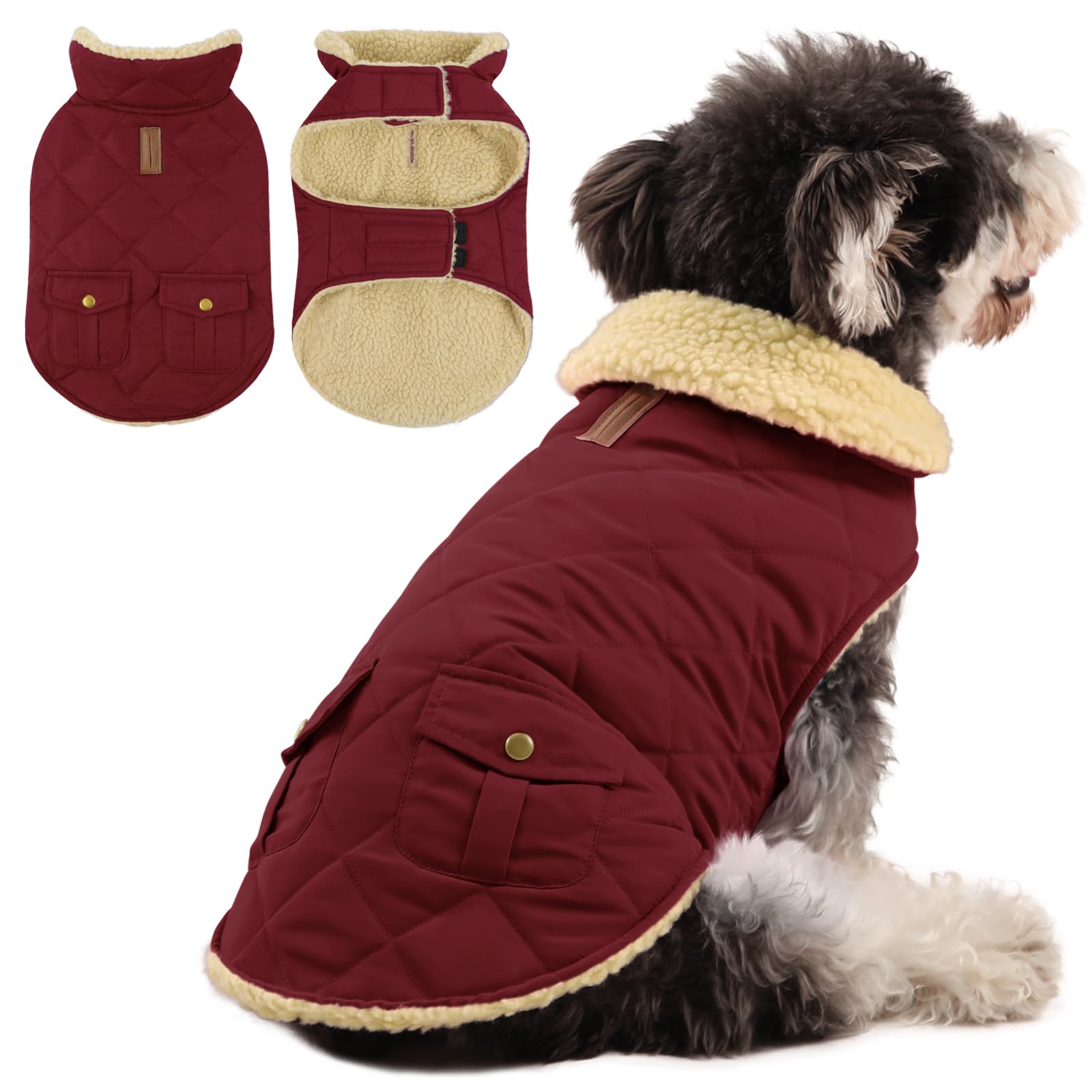 Queenmore Waterproof Small Dog Coat - Warm Fleece Pet Jacket — image 1