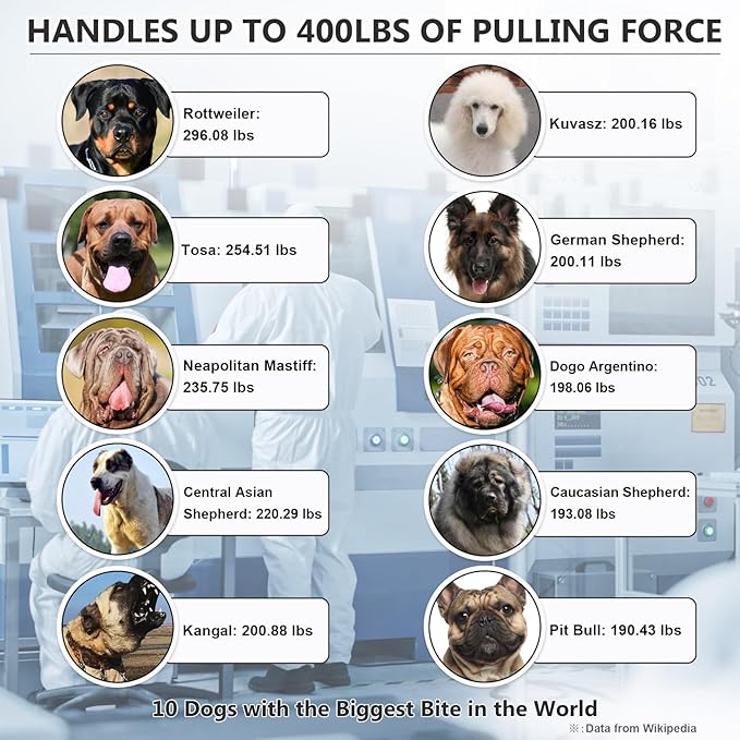 Colchoneta para Perro Pequeño 74x46 cm Resistente a Mordidas miniatura 3