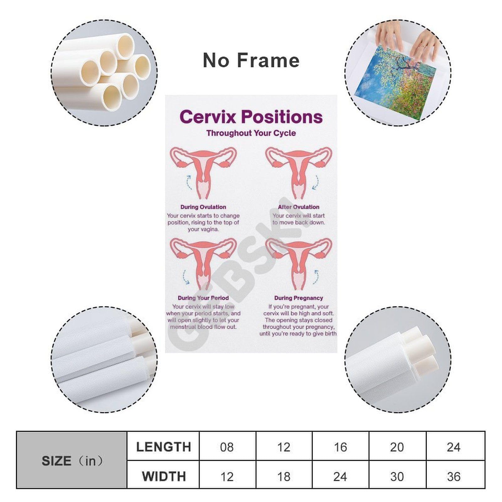 Normal Cervix Position Chart Cervix And Menstrual Cycle Fertility Information Understanding Your