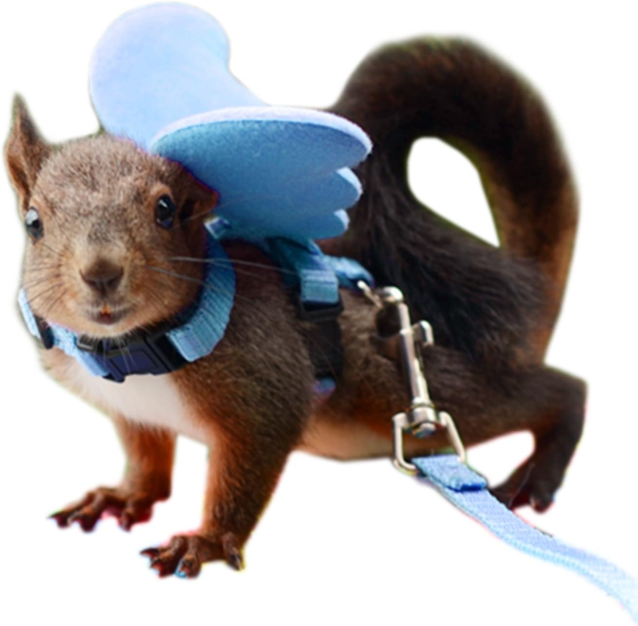 Alfie Pet - Tyler Harness and Leash Set for Small Animals Like Mouse, Chinchilla, Rat, Gerbil and Dwarf Hamster - Color: Blue