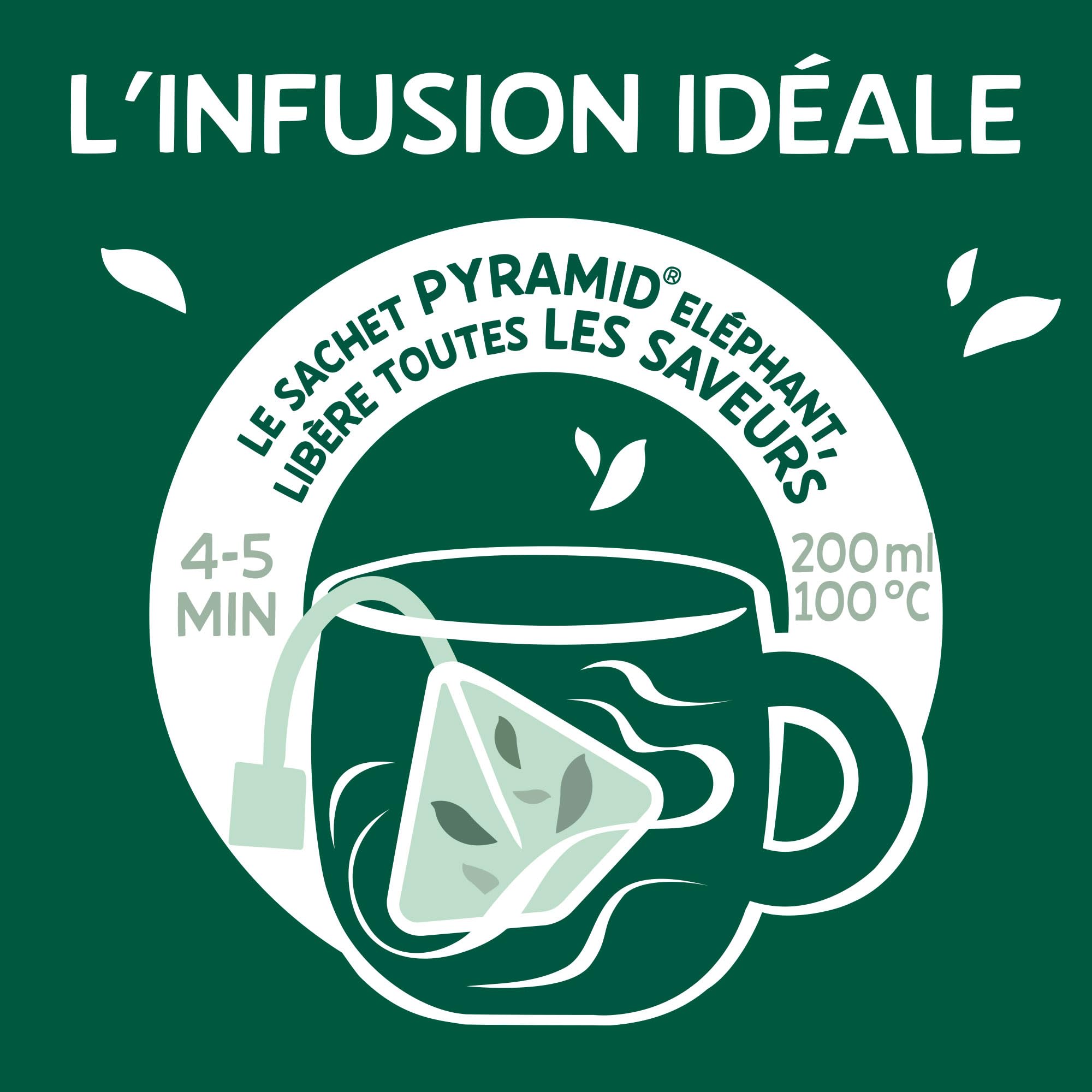 Elephant My Organic Detox Infusion 20 torebek
