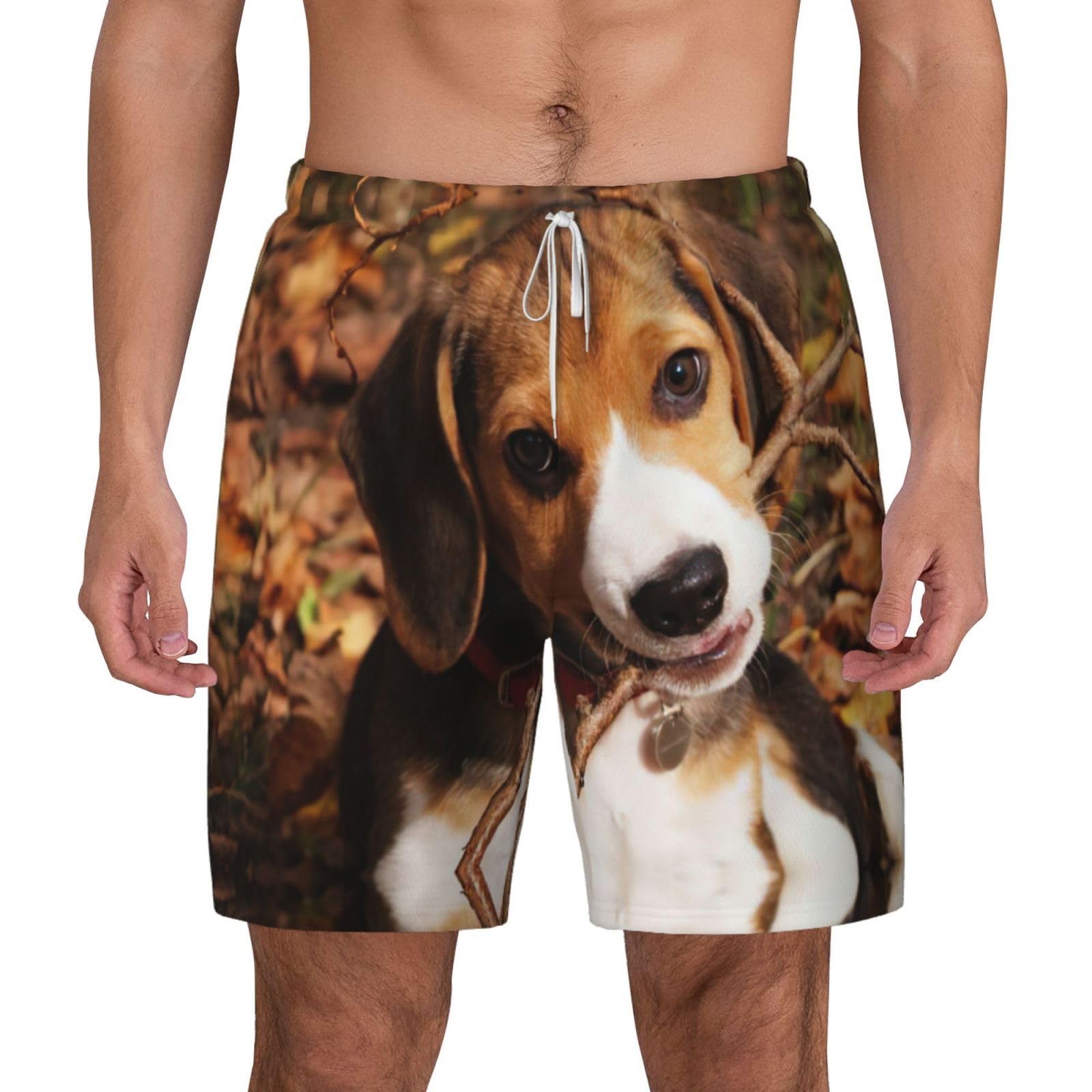 Short de bain pour homme anti-humidité imprimé beagle d'été - 8