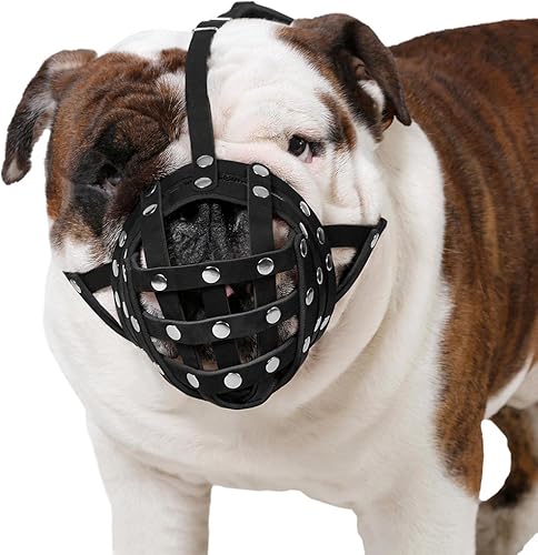 CollarDirect Bozal de perro de cuero para boxeador, Bulldog inglés americano, seguro, antiladridos, mordedura, masticar, ajustable, transpirable