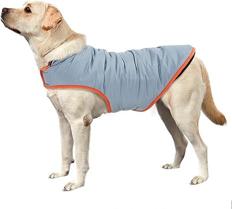 puppy jackets amazon